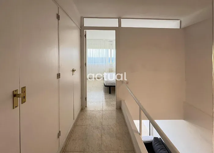 Cavall Bernat Ii * Platja d'Aro
