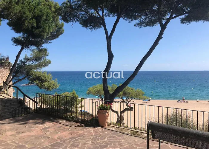 Cavall Bernat Ii * Platja d'Aro