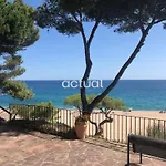 Cavall Bernat Ii * Castell-Platja d'Aro